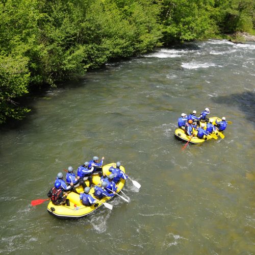 Raft 5