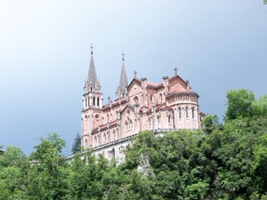 SAMSUNG CAMERA PICTURES